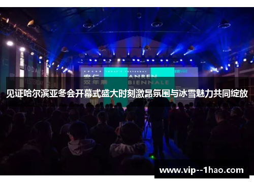 见证哈尔滨亚冬会开幕式盛大时刻激昂氛围与冰雪魅力共同绽放