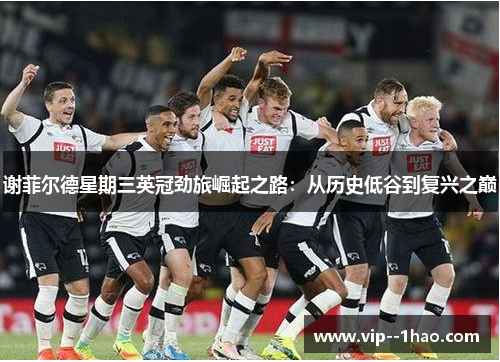 谢菲尔德星期三英冠劲旅崛起之路:从历史低谷到复兴之巅 谢菲尔德星期三英冠劲旅崛起之路:从历史低谷到复兴之巅