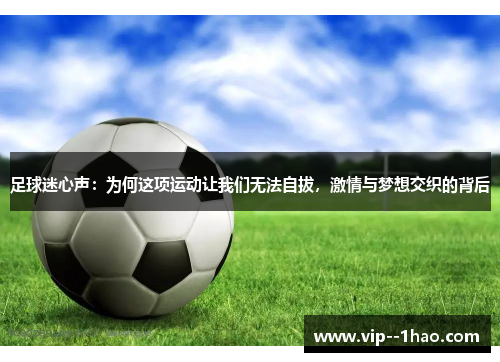 足球迷心声:为何这项运动让我们无法自拔,激情与梦想交织的背后 足球迷心声:为何这项运动让我们无法自拔,激情与梦想交织的背后