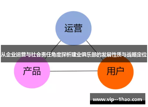 从企业运营与社会责任角度探析建业俱乐部的发展性质与战略定位