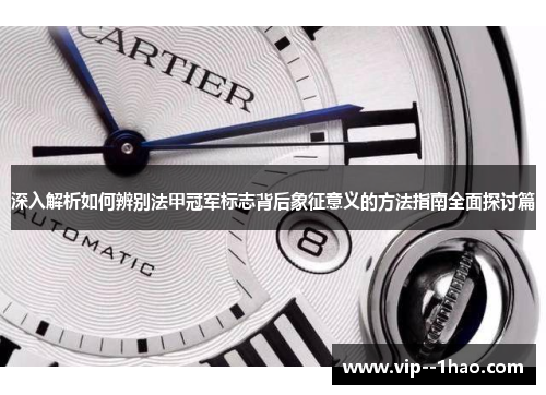 深入解析如何辨别法甲冠军标志背后象征意义的方法指南全面探讨篇