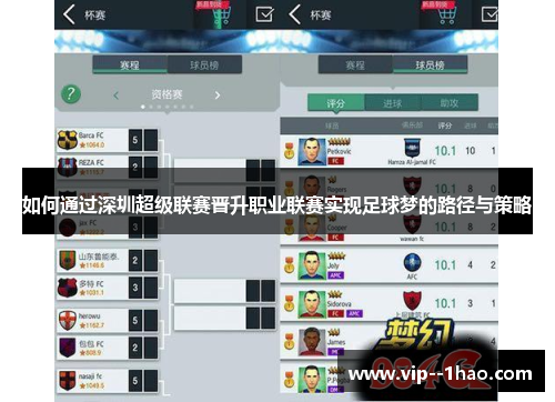 如何通过深圳超级联赛晋升职业联赛实现足球梦的路径与策略