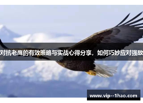 对抗老鹰的有效策略与实战心得分享，如何巧妙应对强敌