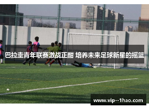 巴拉圭青年联赛激战正酣 培养未来足球新星的摇篮