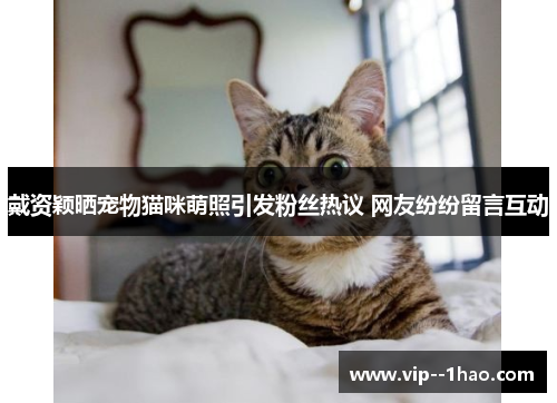 戴资颖晒宠物猫咪萌照引发粉丝热议 网友纷纷留言互动