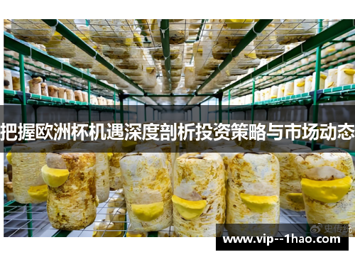 把握欧洲杯机遇深度剖析投资策略与市场动态