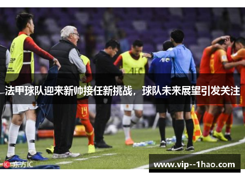法甲球队迎来新帅接任新挑战，球队未来展望引发关注