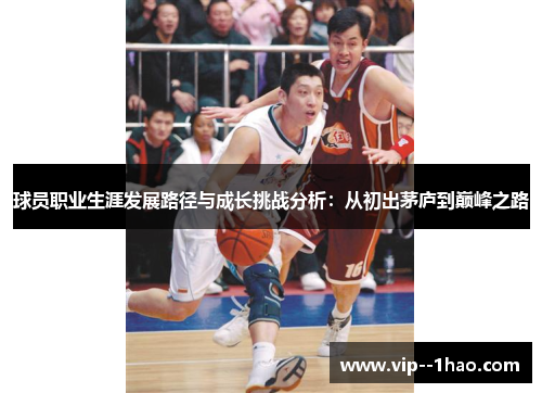 球员职业生涯发展路径与成长挑战分析:从初出茅庐到巅峰之路 球员职业生涯发展路径与成长挑战分析:从初出茅庐到巅峰之路