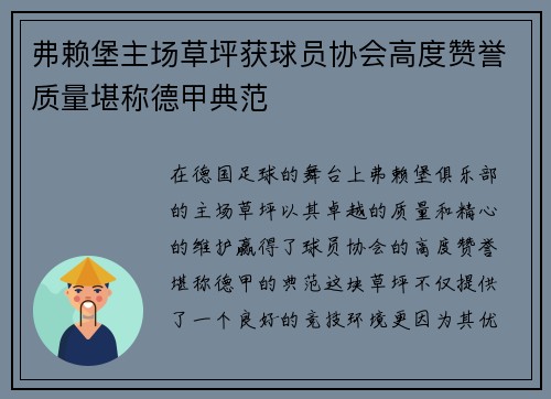 弗赖堡主场草坪获球员协会高度赞誉质量堪称德甲典范