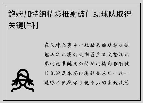 鲍姆加特纳精彩推射破门助球队取得关键胜利 鲍姆加特纳精彩推射破门助球队取得关键胜利