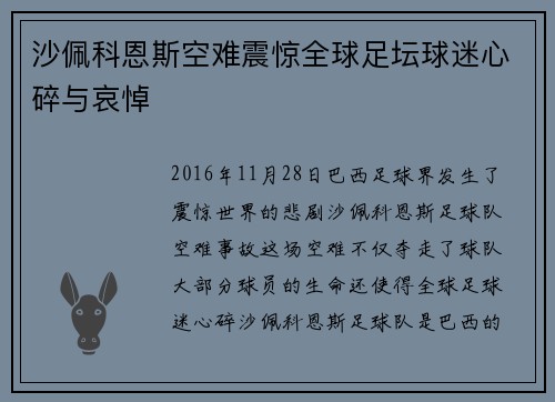 沙佩科恩斯空难震惊全球足坛球迷心碎与哀悼
